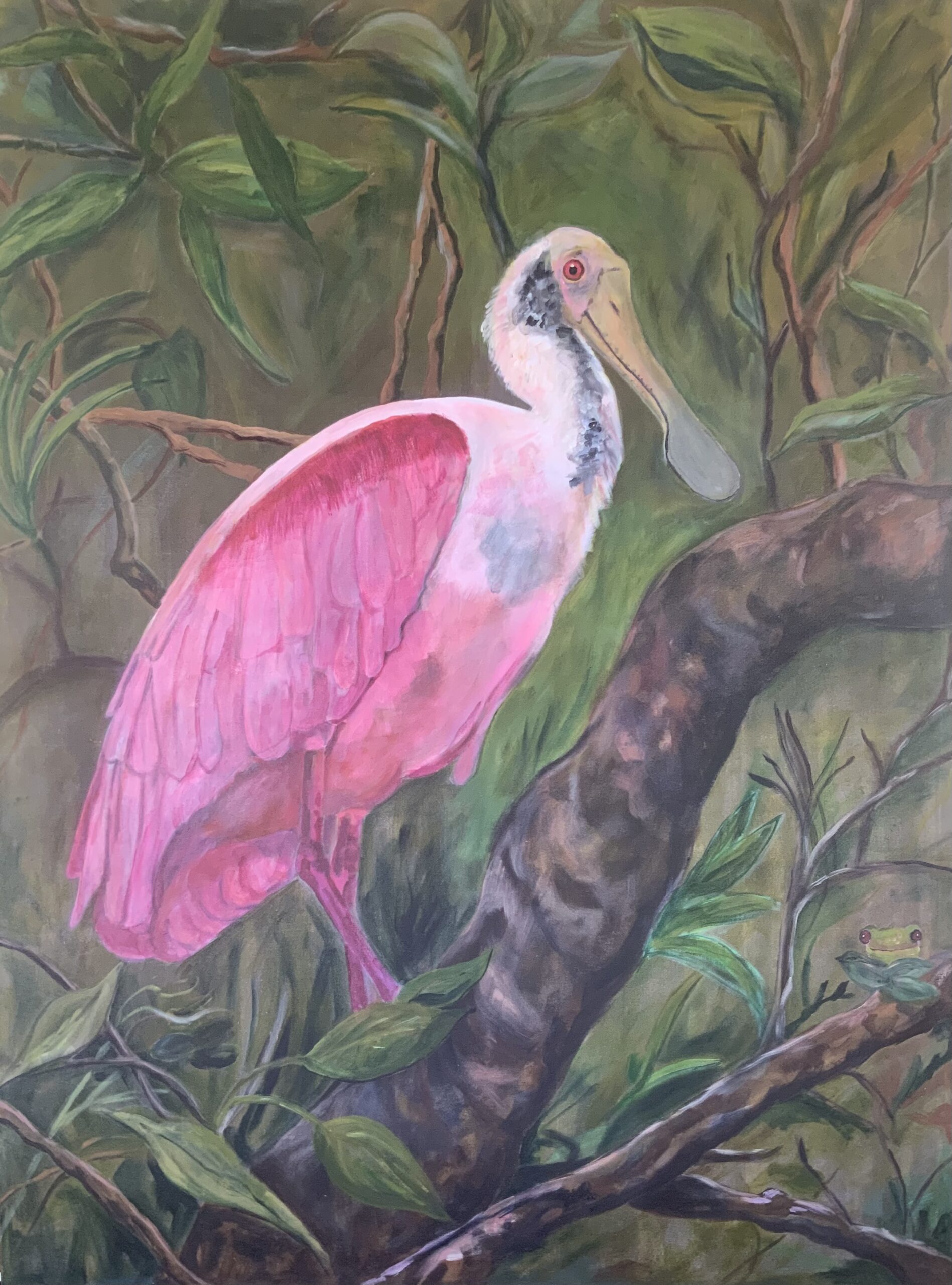 Roseate Spoonbill/Platalea ajaja